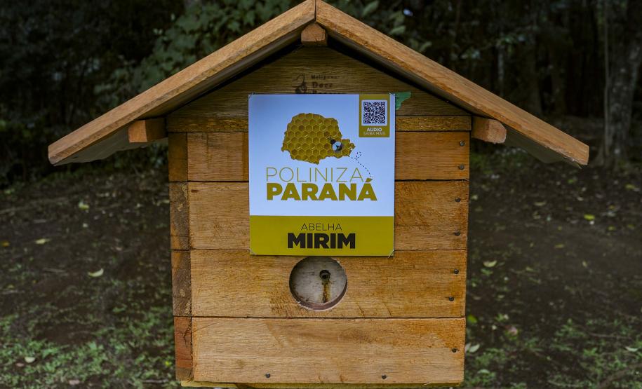 Foto de cerimônia de instalação de meliponários