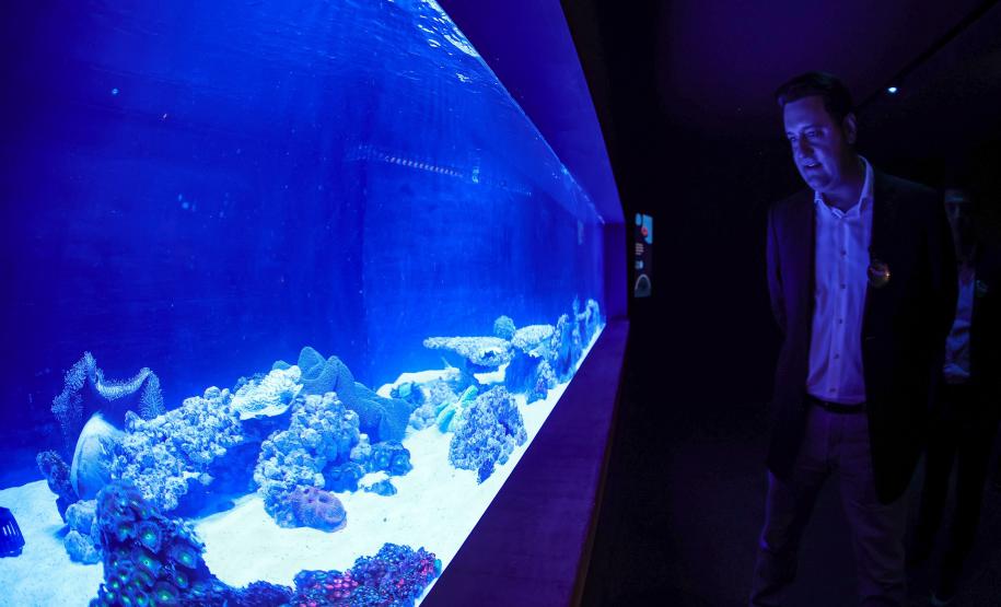 Novo atrativo: Foz do Iguaçu ganha um dos maiores aquários da América do Sul