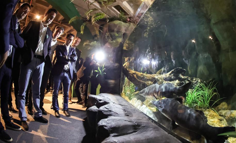 Novo atrativo: Foz do Iguaçu ganha um dos maiores aquários da América do Sul