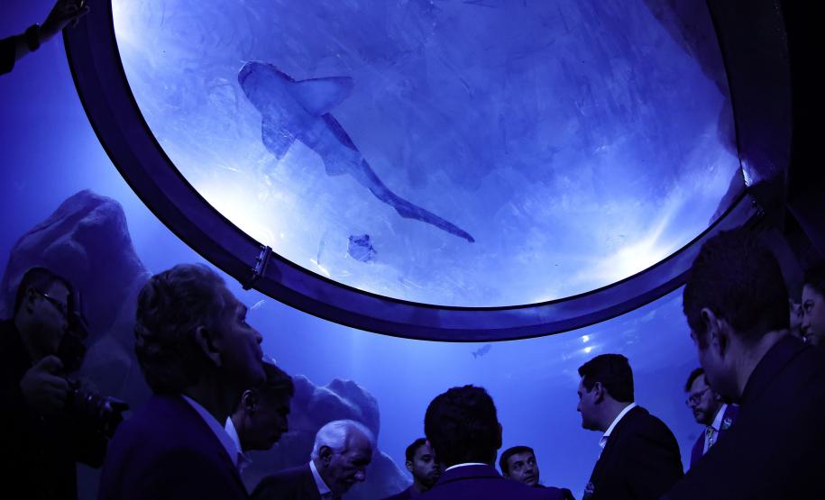 Novo atrativo: Foz do Iguaçu ganha um dos maiores aquários da América do Sul