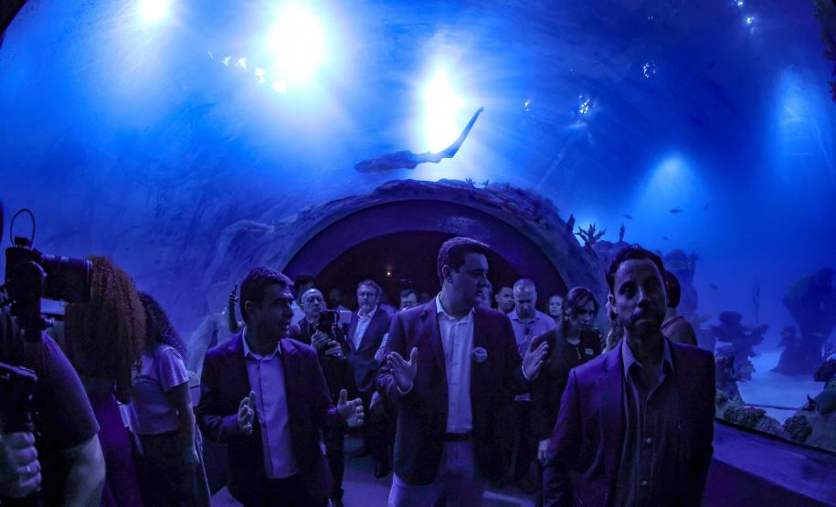 Novo atrativo: Foz do Iguaçu ganha um dos maiores aquários da América do Sul