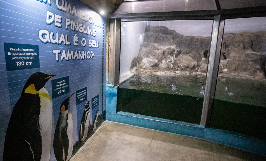 Aquário de Paranaguá terá novos animais e atrações especiais para a temporada