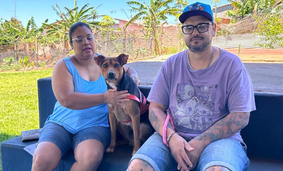 Mutirão do CastraPet Paraná vai passar por 20 municípios em dezembro