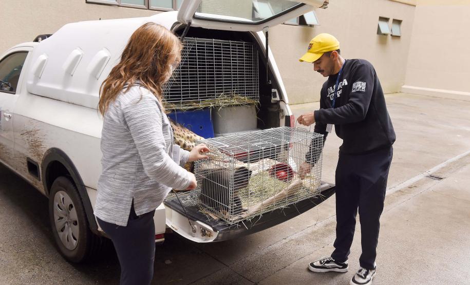 IAT assina convênio com a Prefeitura de Curitiba e amplia atendimento à fauna silvestre