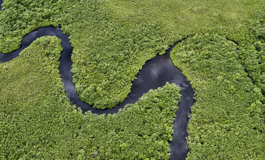 Com tecnologia e fiscalização, Paraná reduz desmatamento de maneira consistente