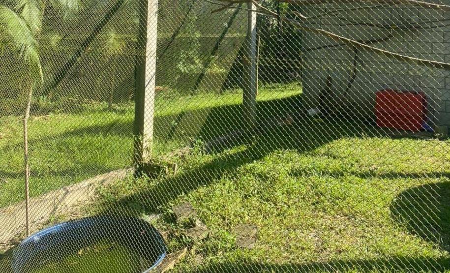 Foto de estrutura do PAAS Litoral