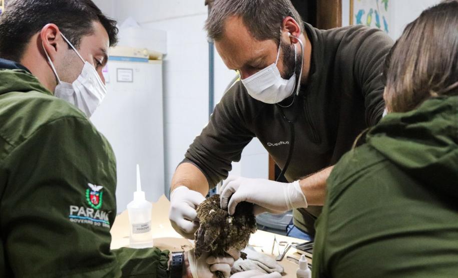 Foto de tratamento no PAAS Litoral