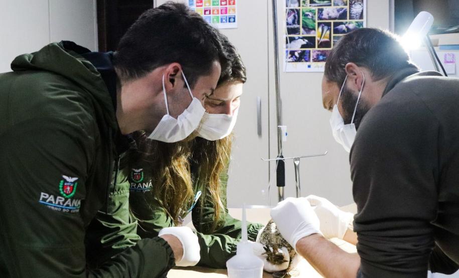Foto de tratamento no PAAS Litoral