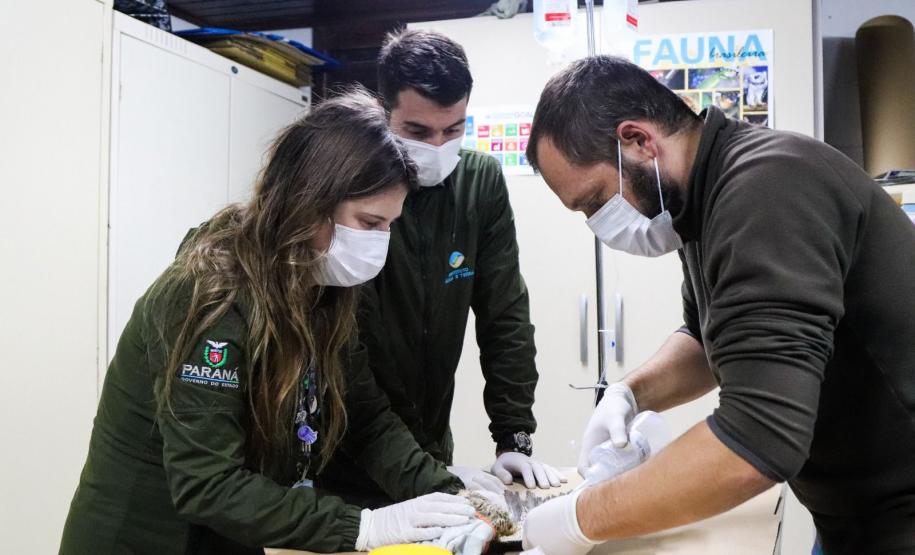 Foto de tratamento no PAAS Litoral