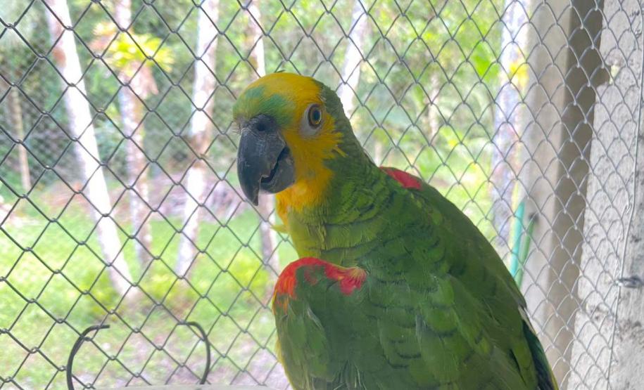Foto de tratamento no PAAS Litoral