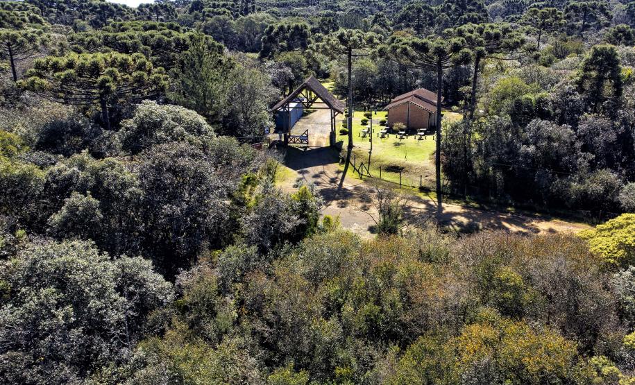 Trilhas do Salto São Francisco serão fechadas temporariamente para remoção de espécies exóticas