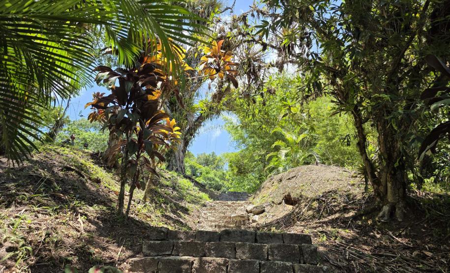 Foto do Parque Estadual do Palmito