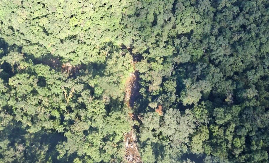 Decreto amplia a área do Parque Estadual Roberto Ribas Lange, em Antonina e Morretes