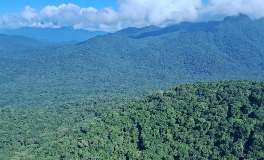 Decreto amplia a área do Parque Estadual Roberto Ribas Lange, em Antonina e Morretes