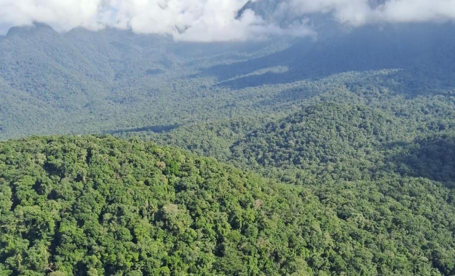 Decreto amplia a área do Parque Estadual Roberto Ribas Lange, em Antonina e Morretes