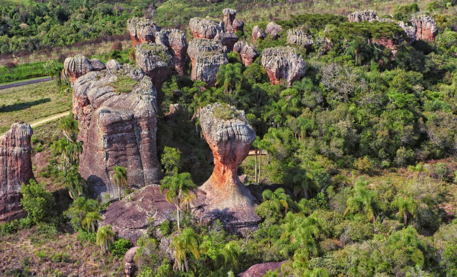 Cartilha do IAT orienta como solicitar autorizações para uso de Unidades de Conservação