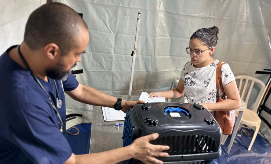 Foto de ação do Castrapet Paraná