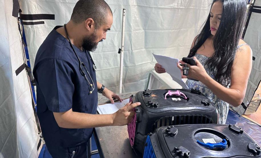 Foto de ação do Castrapet Paraná