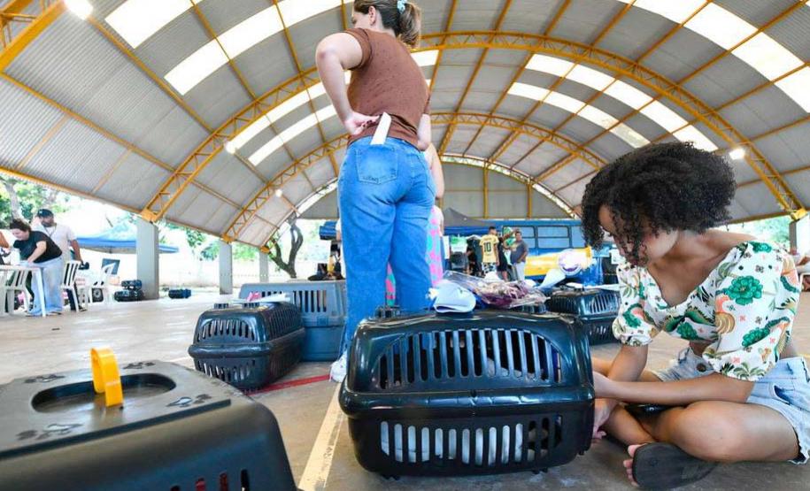 Foto de ação do Castrapet Paraná