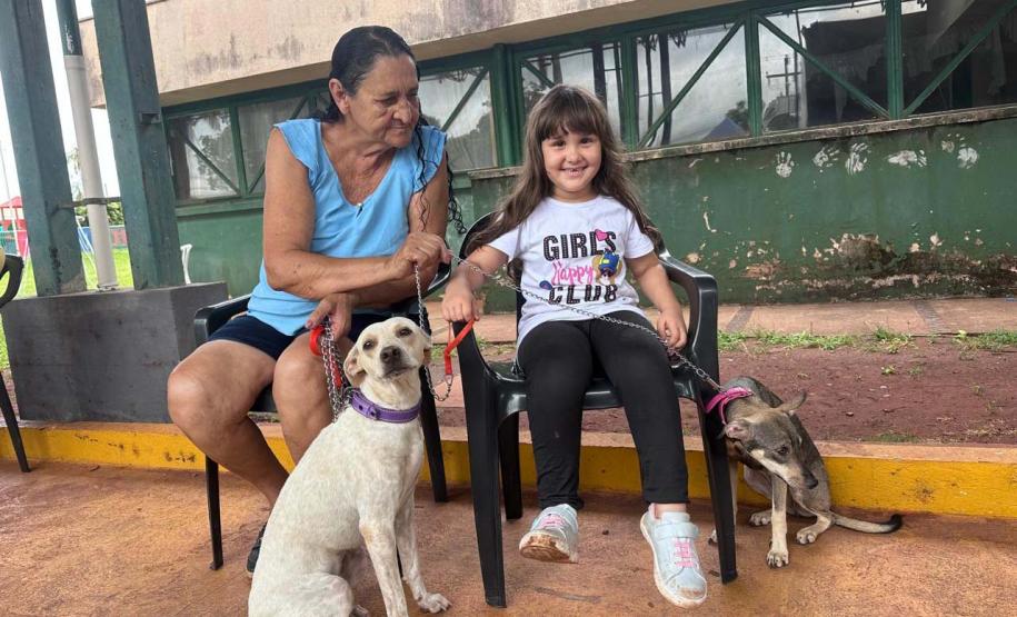 Foto de ação do Castrapet Paraná