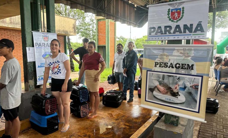 Foto de ação do Castrapet Paraná