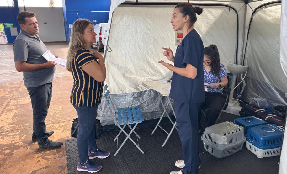 De Umuarama a Pranchita: Estado retoma CastraPet em 42 municípios em janeiro