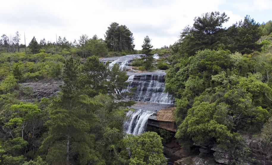 Verão na natureza: 5 cachoeiras para conhecer nas Unidades de Conservação do Paraná