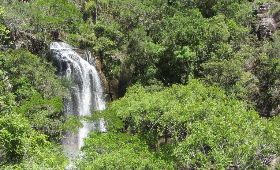 Estado divulga relação final de reservas naturais do edital de créditos de biodiversidade