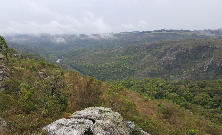 Estado divulga relação final de reservas naturais do edital de créditos de biodiversidade