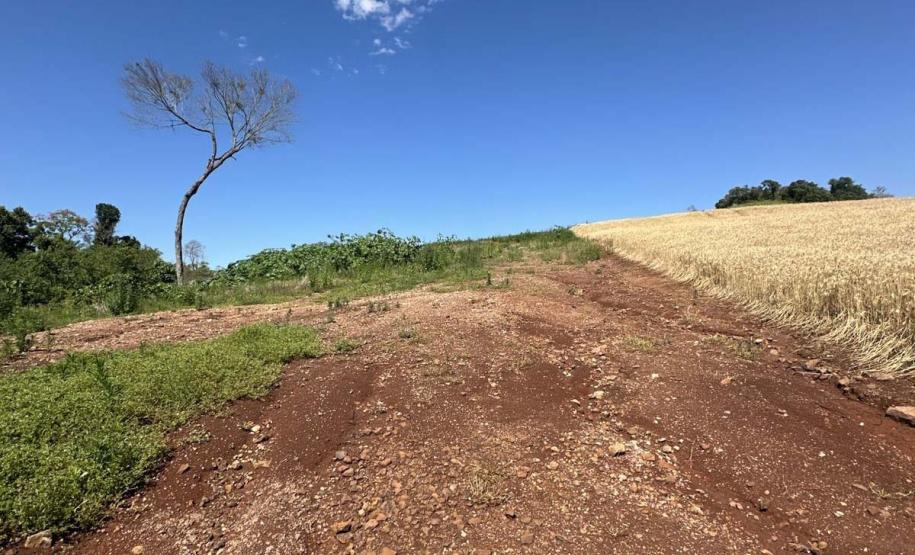 Com aumento da fiscalização, IAT aplica 8,1 mil multas por crimes ambientais em 2025