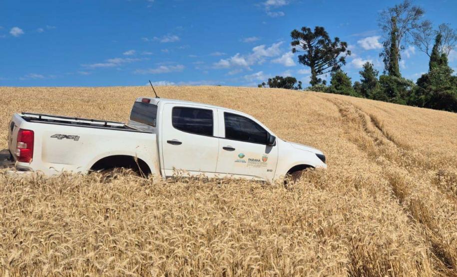 Com aumento da fiscalização, IAT aplica 8,1 mil multas por crimes ambientais em 2025