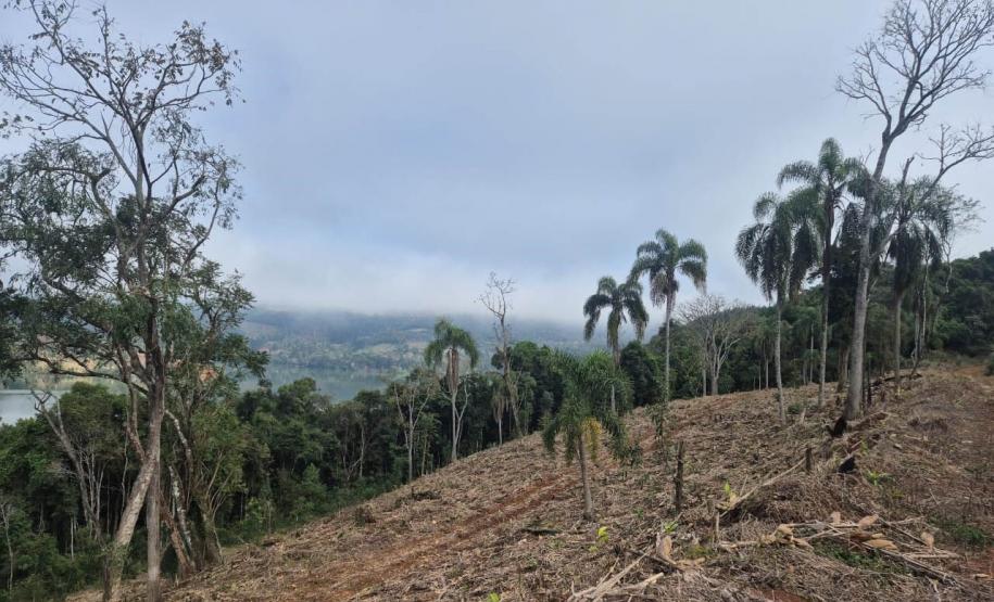 Com aumento da fiscalização, IAT aplica 8,1 mil multas por crimes ambientais em 2025