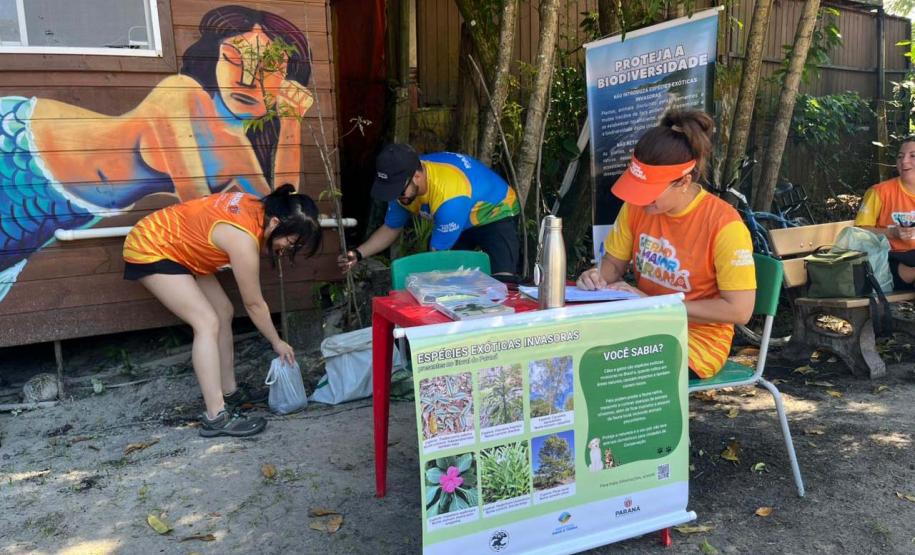Um dia no parque e pacto pelo planeta estão na agenda ambiental do Verão Maior Paraná