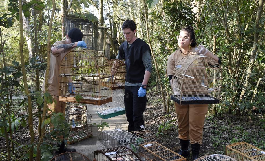 Recorde: IAT prestou atendimento a 4.552 animais silvestres em 2025