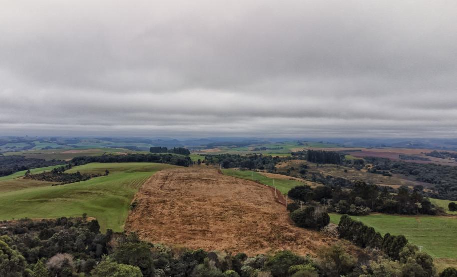 Foto de terreno agrícola