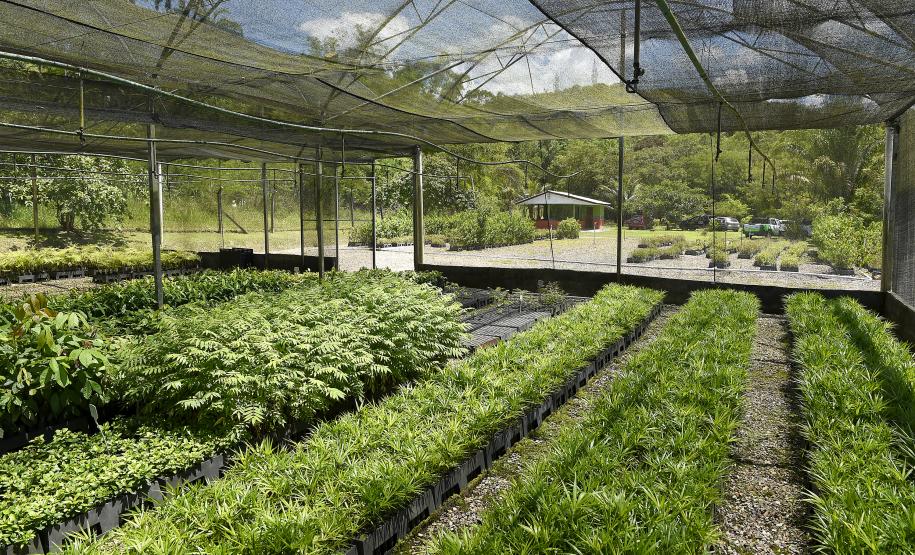 Foto de ação educativa do Um dia no Viveiro