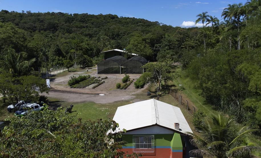 Foto de ação educativa do Um dia no Viveiro