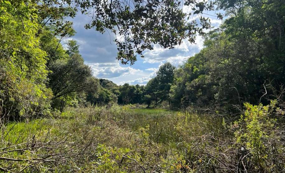 Pesquisa da Unicentro mapeia mamíferos silvestres em Unidades de Conservação