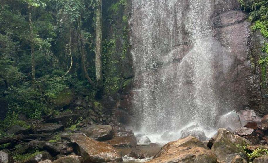 Pesquisa da Unicentro mapeia mamíferos silvestres em Unidades de Conservação