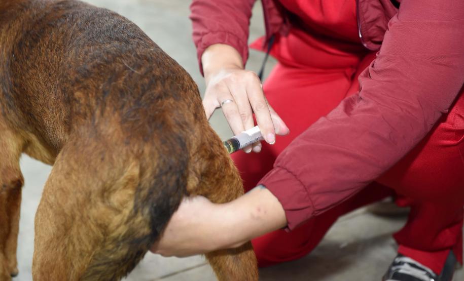 Foto de evento do Castrapet