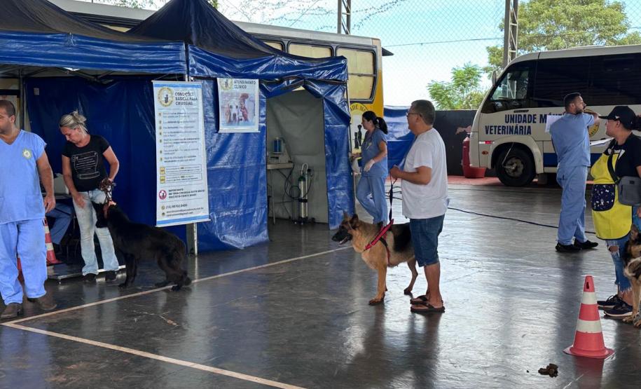 Com destaque para RMC, CastraPet vai beneficiar cães e gatos de 42 cidades em fevereiro