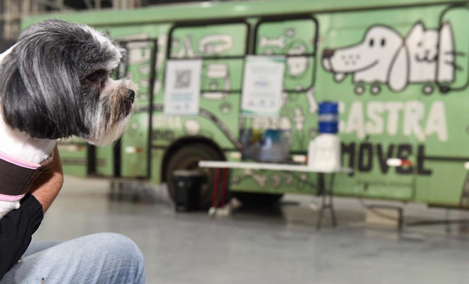 Foto de evento do Castrapet