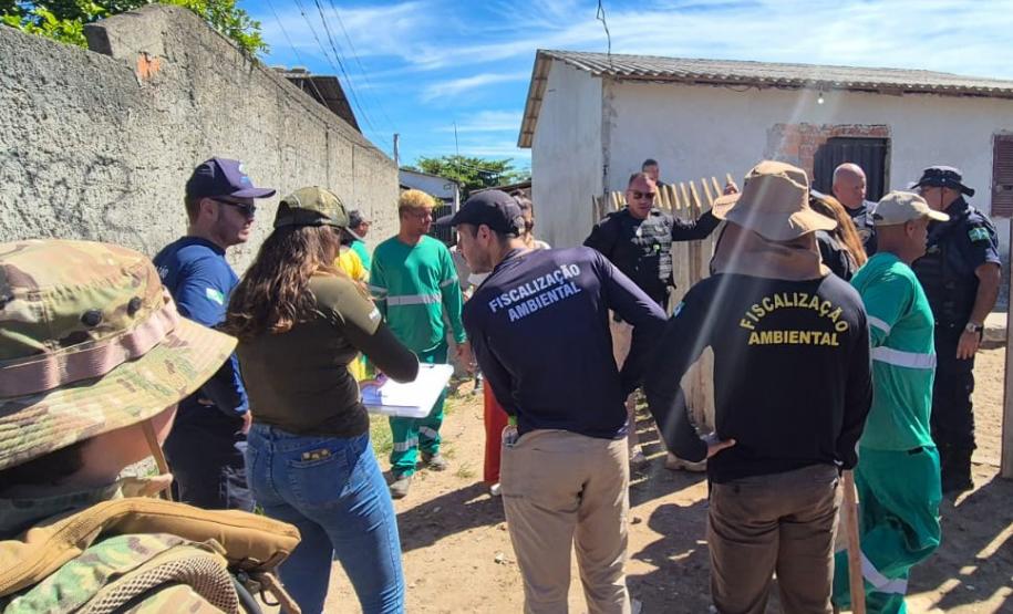 IAT cria novo canal para denúncias de crimes ambientais no Paraná