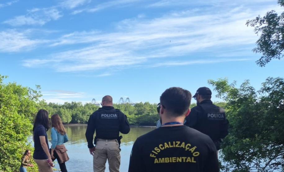 IAT cria novo canal para denúncias de crimes ambientais no Paraná