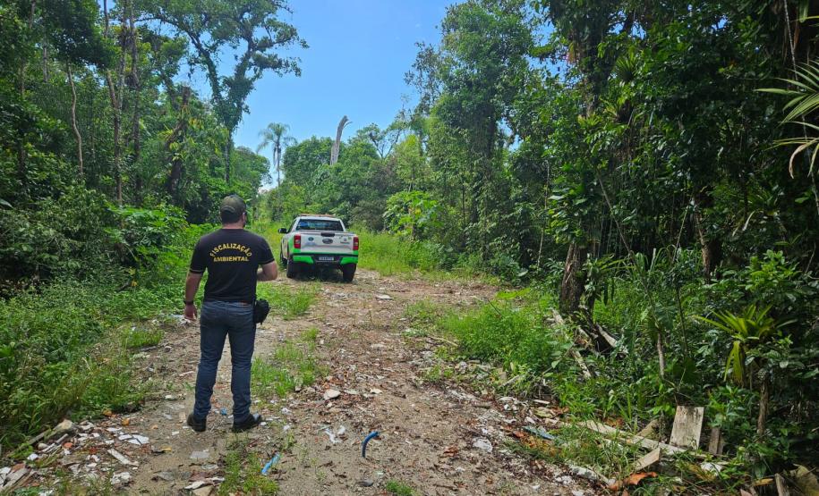 IAT cria novo canal para denúncias de crimes ambientais no Paraná