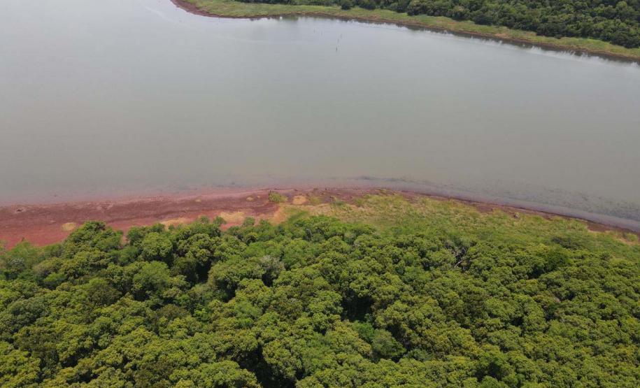 Com incremento de 3,7%, Estado repassou R$ 659 milhões a municípios via ICMS Ecológico