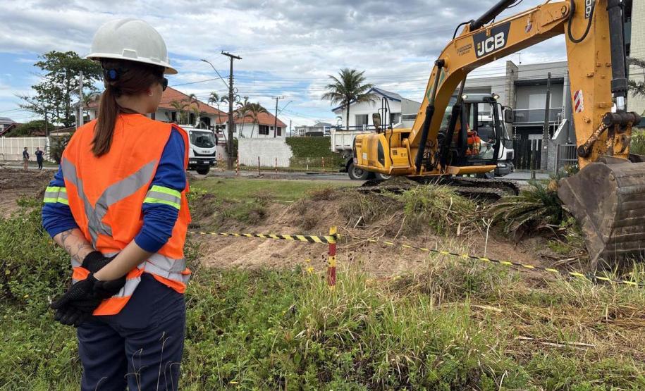 Foto de animais recolhidos no monitoramento da orla de Pontal