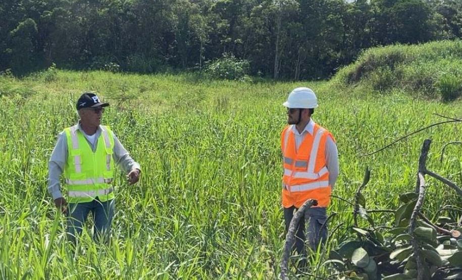 Foto de animais recolhidos no monitoramento da orla de Pontal