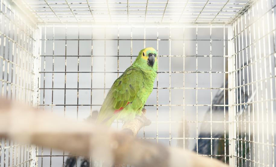 Foto de tratamento no CETRAS Unicentro