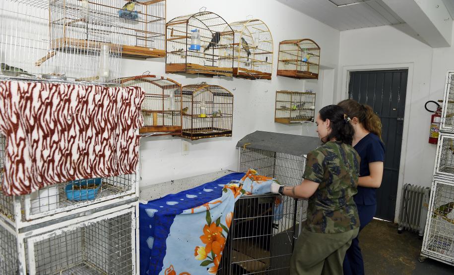 Foto de tratamento no CETRAS Unicentro